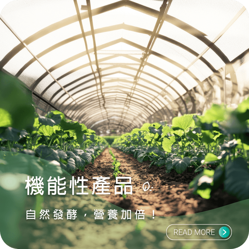 首頁 產品連結-修改03.png